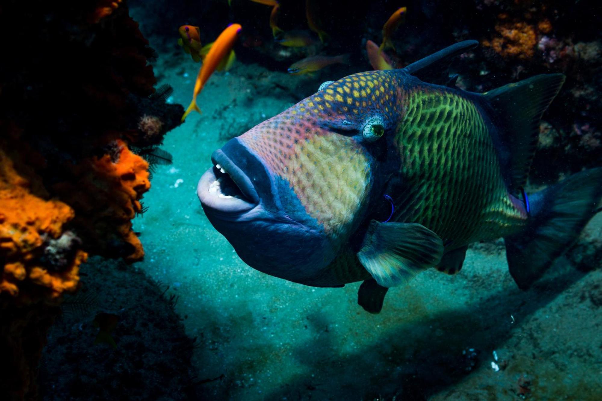 Sodwana Bay Lodge Dive & Fishing Resort Екстер'єр фото