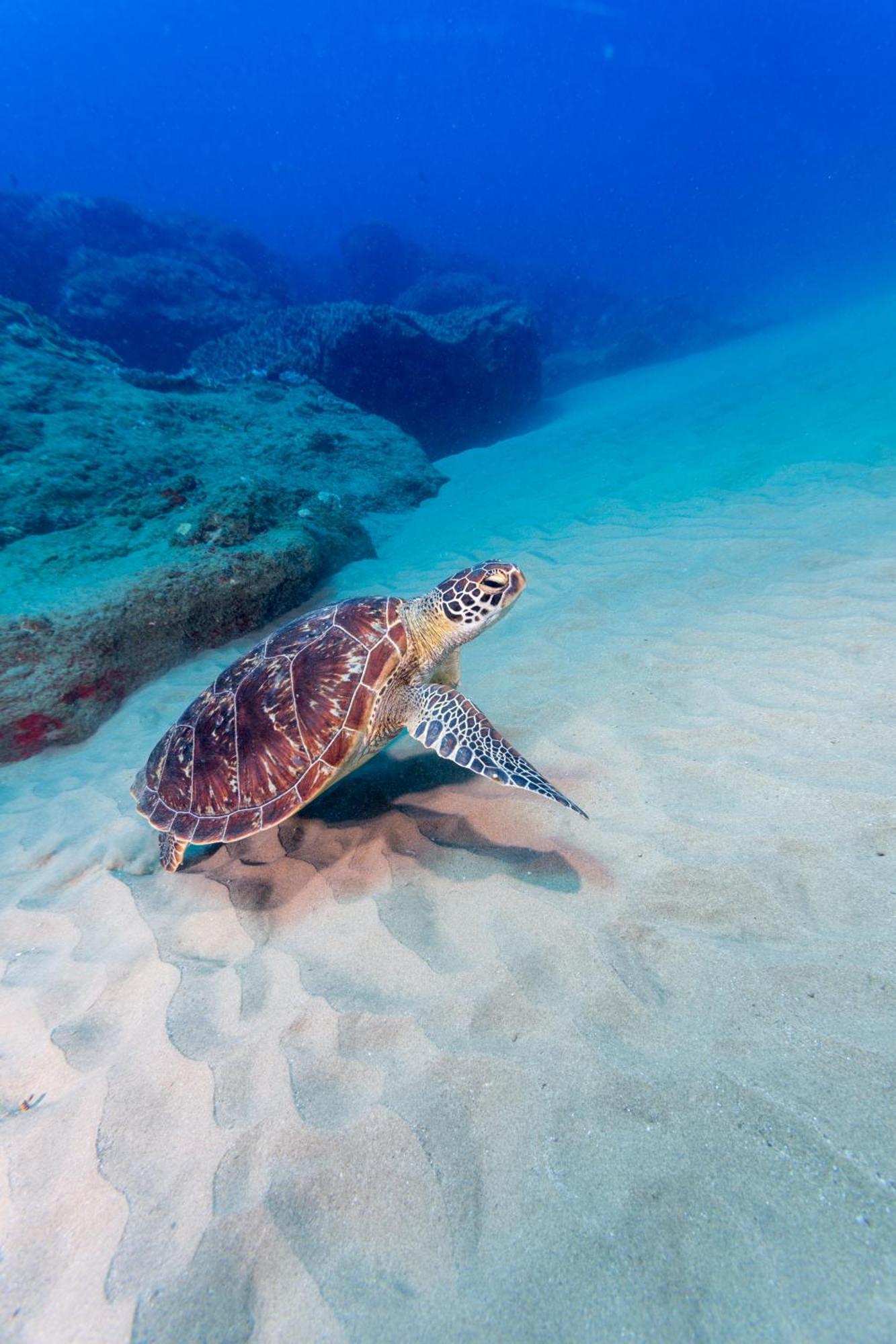 Sodwana Bay Lodge Dive & Fishing Resort Екстер'єр фото