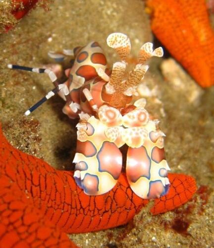Sodwana Bay Lodge Dive & Fishing Resort Екстер'єр фото