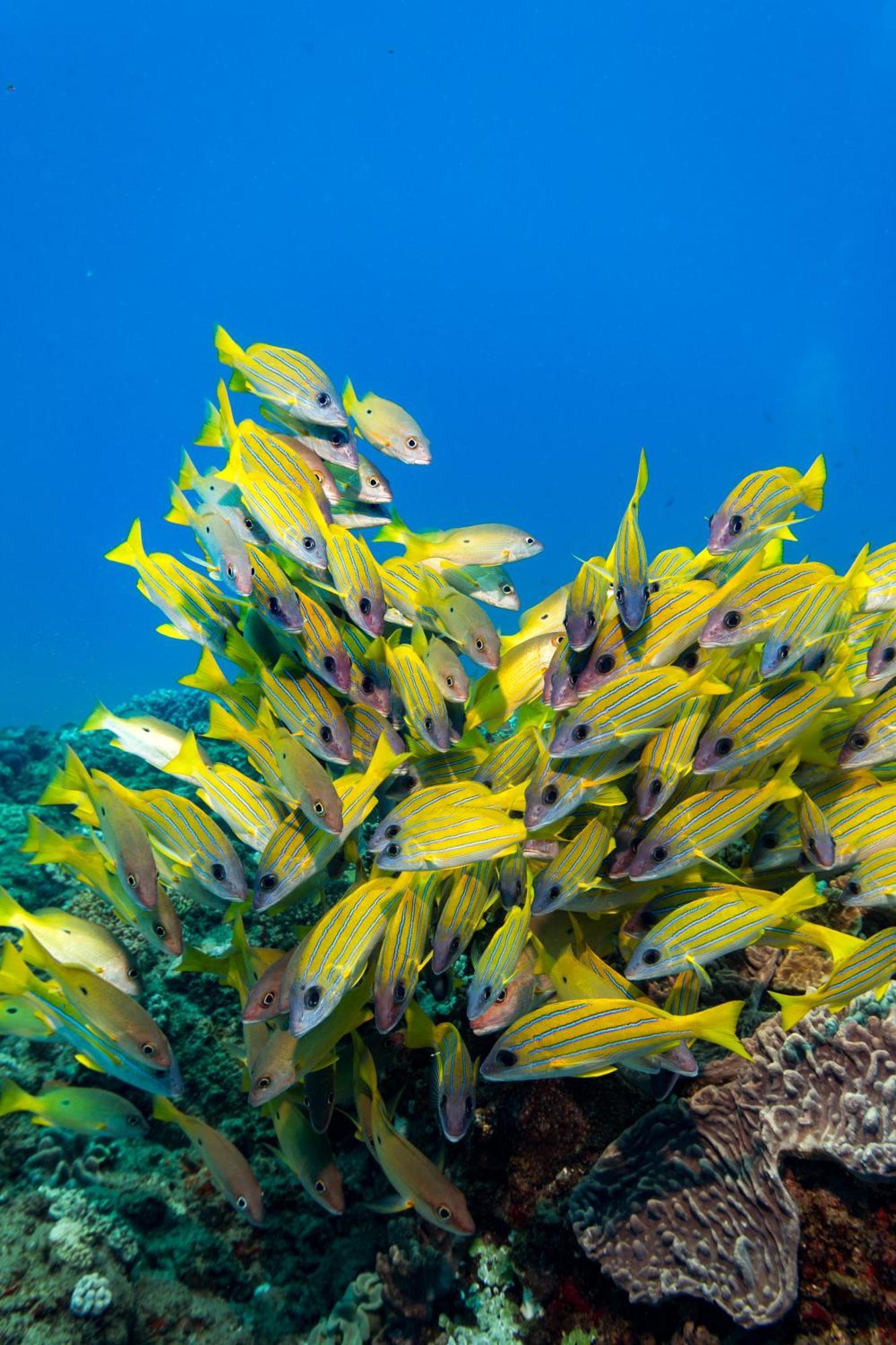 Sodwana Bay Lodge Dive & Fishing Resort Екстер'єр фото