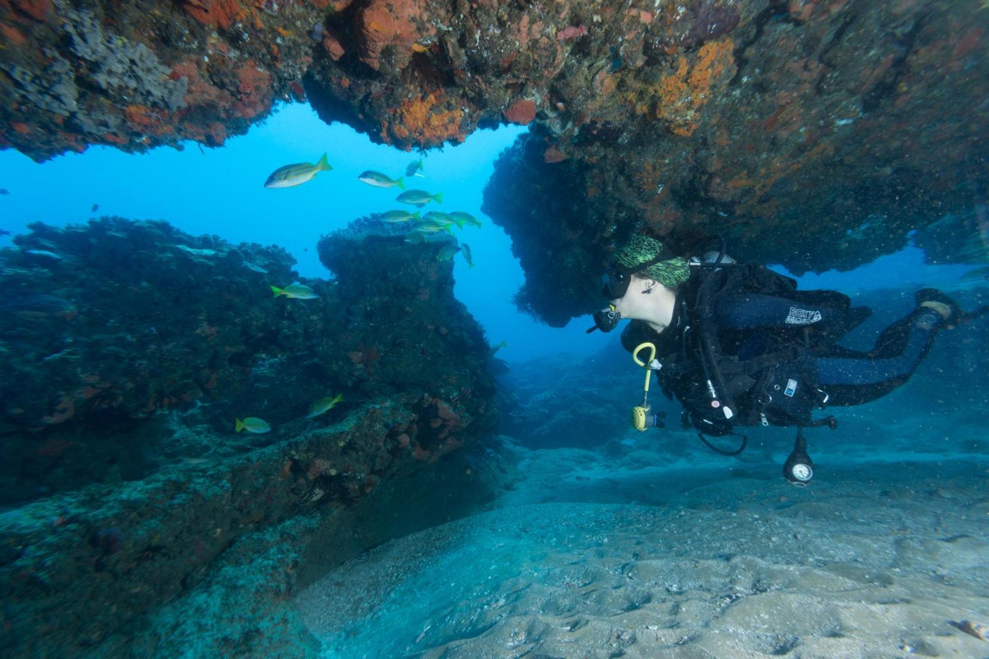Sodwana Bay Lodge Dive & Fishing Resort Екстер'єр фото
