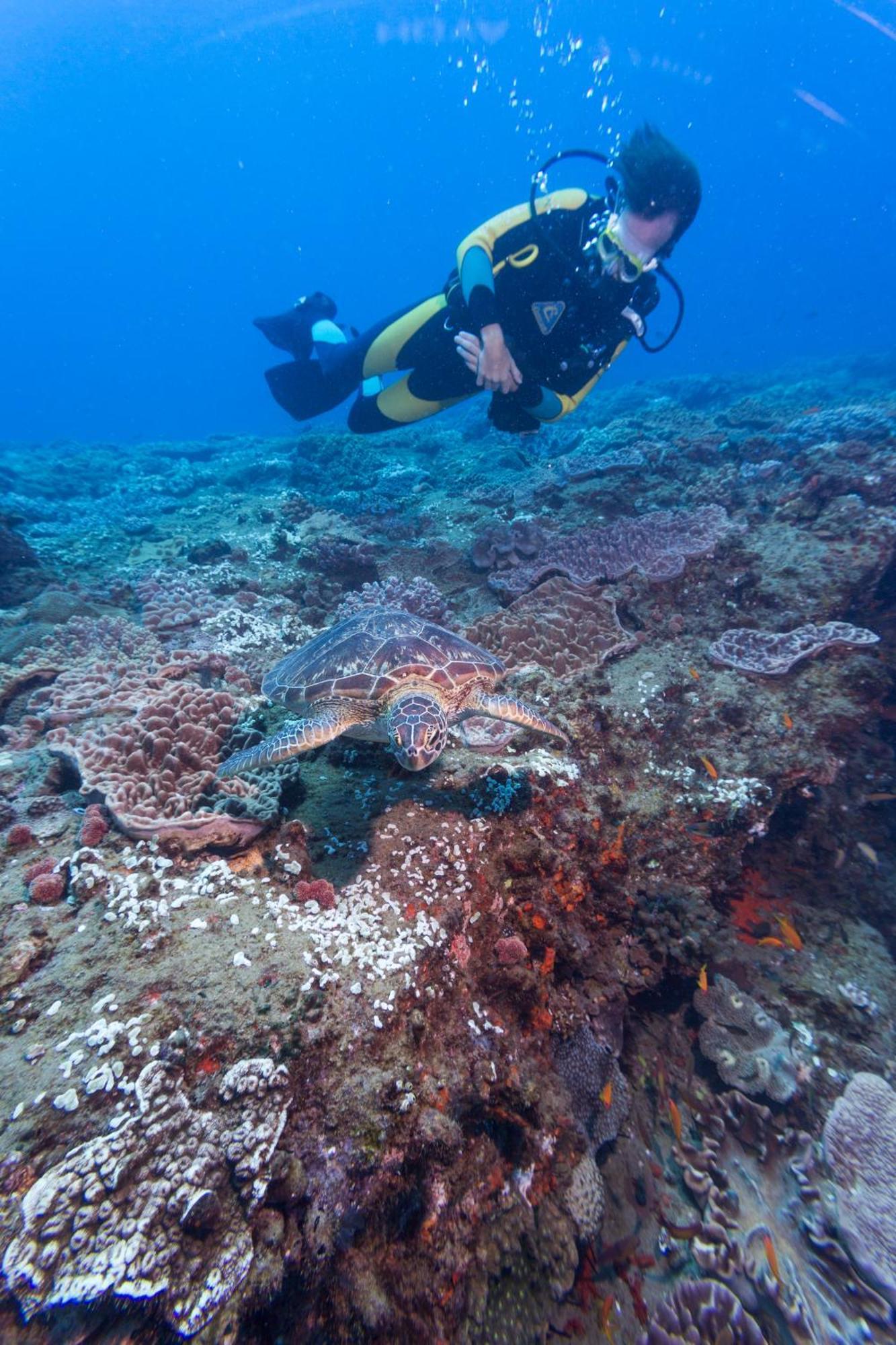 Sodwana Bay Lodge Dive & Fishing Resort Екстер'єр фото
